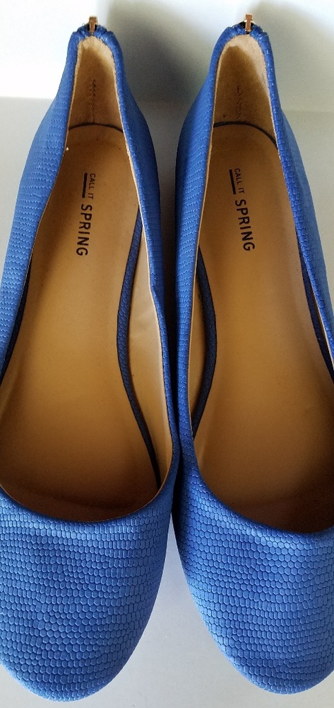 Blue flats - Picture 2 of 4